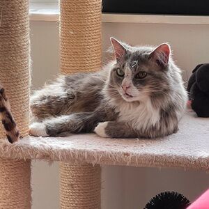 Meet your Posher, May